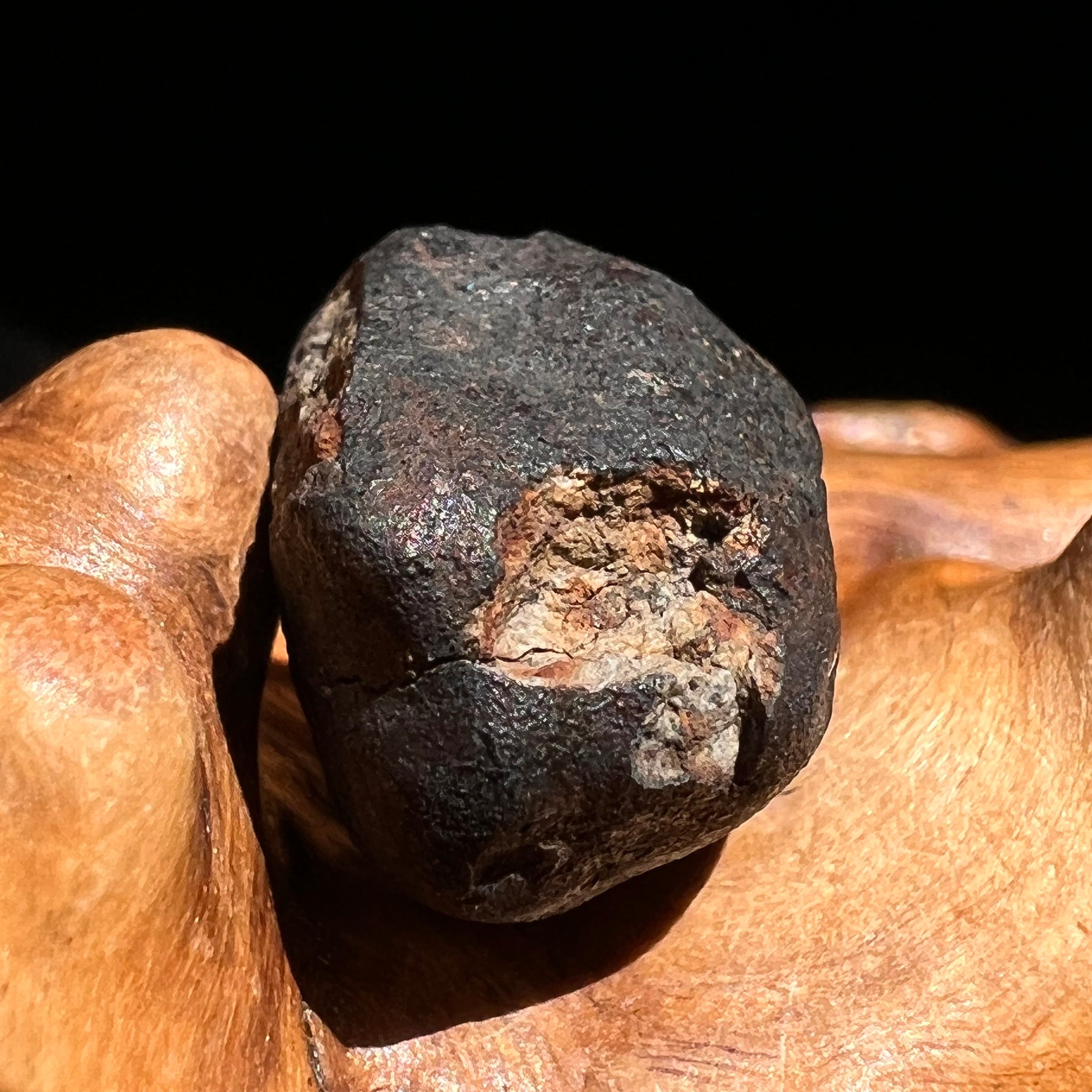 Chelyabinsk Meteorite Superbolide Asteroid 3.7 grams #37-Moldavite Life