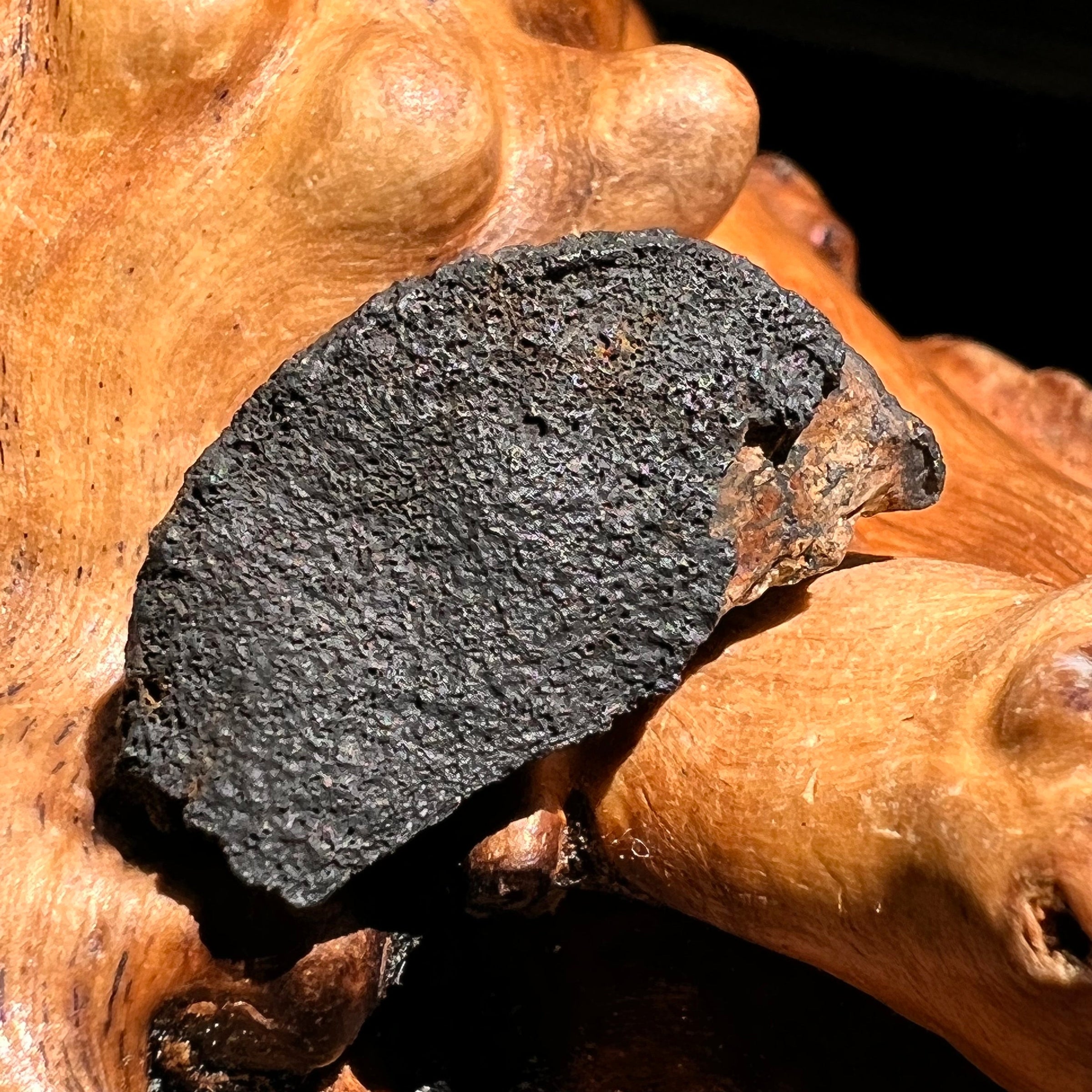 Chelyabinsk Meteorite Superbolide Asteroid 3.9 grams #12-Moldavite Life
