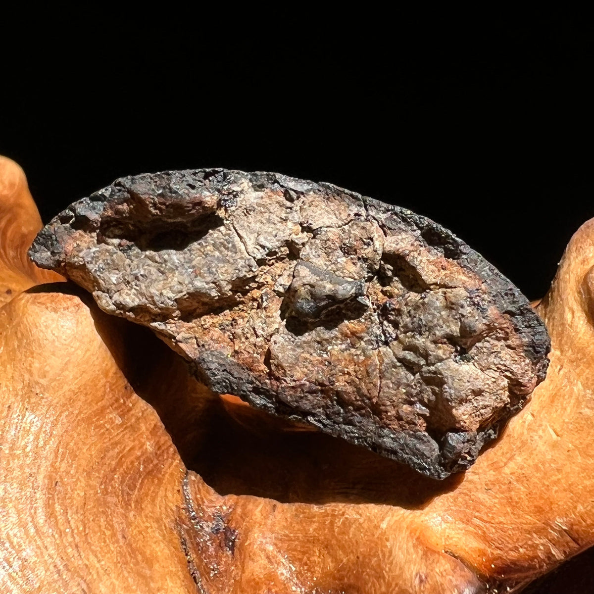 Chelyabinsk Meteorite Superbolide Asteroid 3.9 grams #12-Moldavite Life
