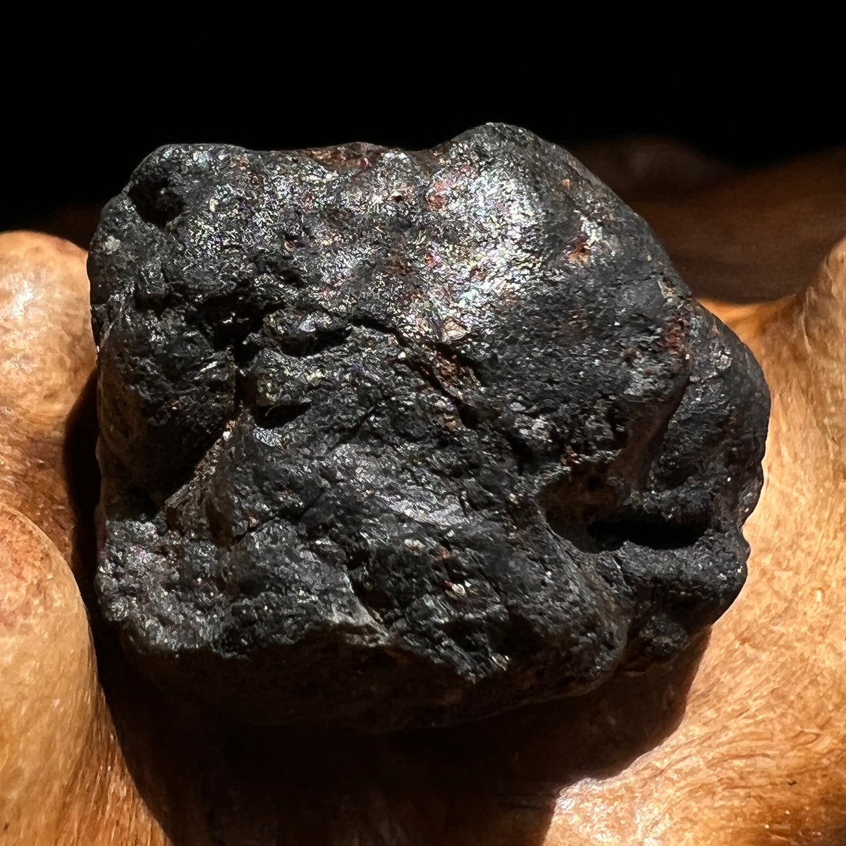 Chelyabinsk Meteorite Superbolide Asteroid 3.9 grams #24-Moldavite Life