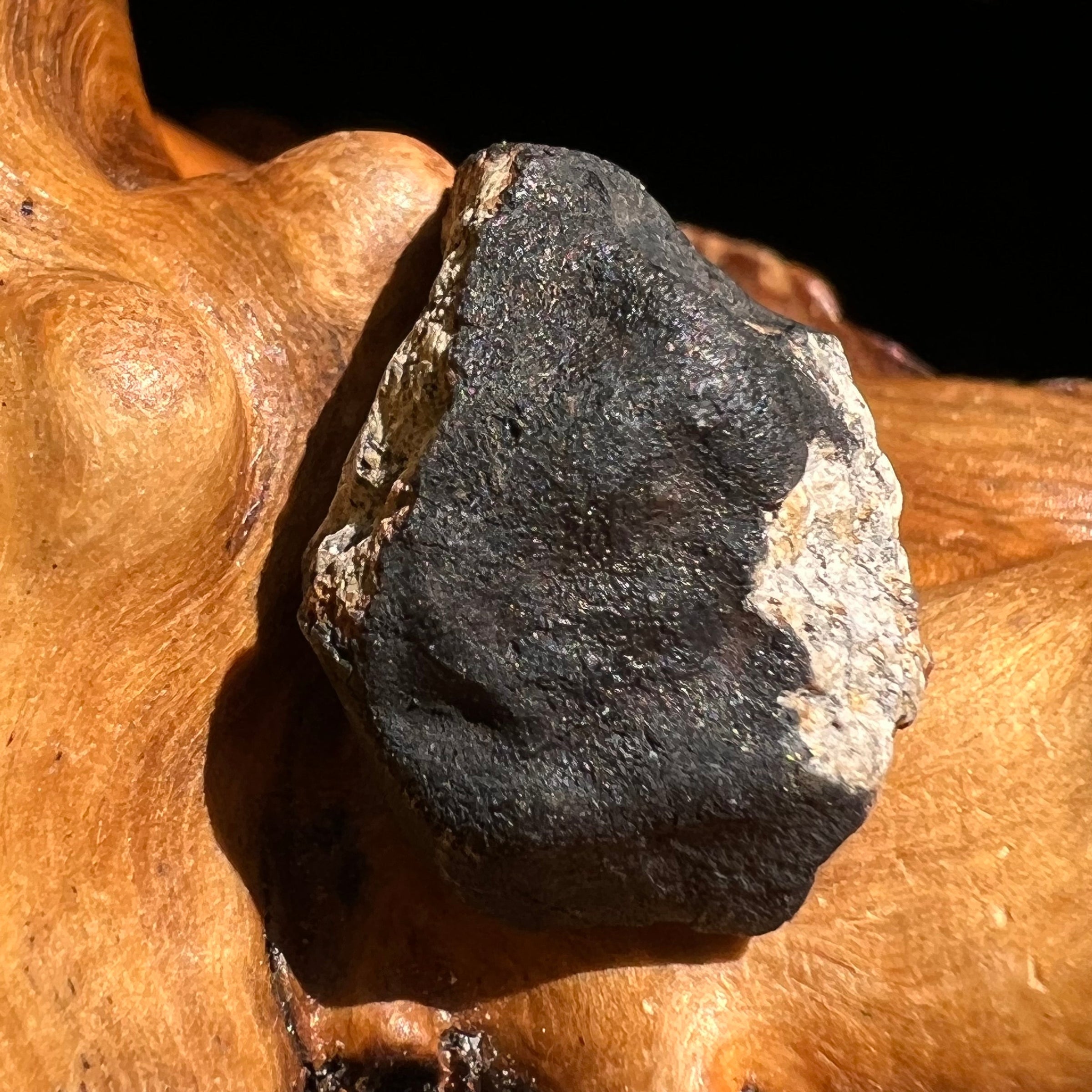 Chelyabinsk Meteorite Superbolide Asteroid 4.1 grams #1-Moldavite Life