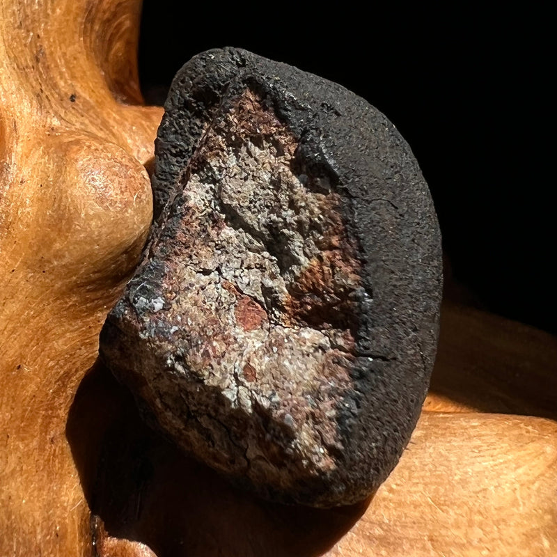 Chelyabinsk Meteorite Superbolide Asteroid 4.2 grams #64-Moldavite Life