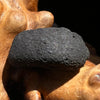 Chelyabinsk Meteorite Superbolide Asteroid 4.2 grams #64-Moldavite Life