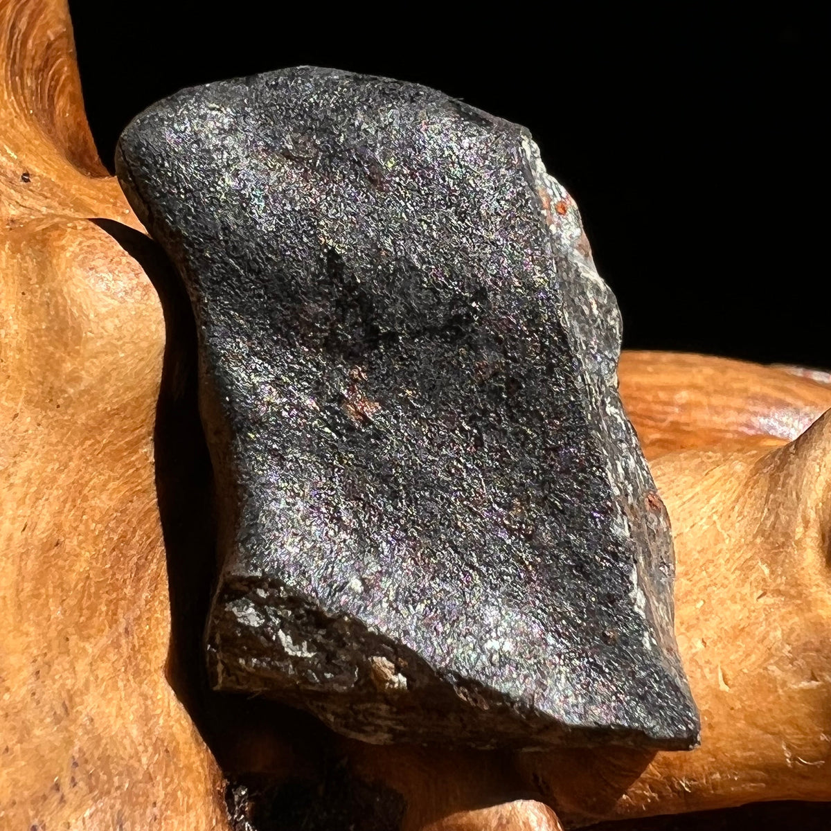 Chelyabinsk Meteorite Superbolide Asteroid 4.3 grams #36-Moldavite Life