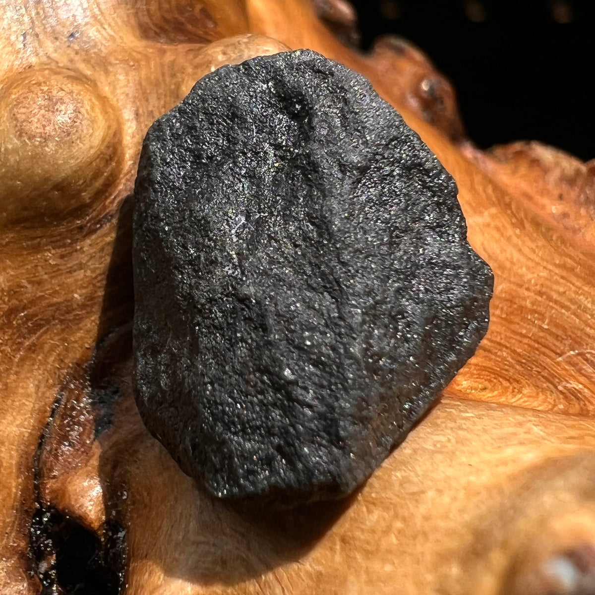 Chelyabinsk Meteorite Superbolide Asteroid 4.4 grams #23-Moldavite Life