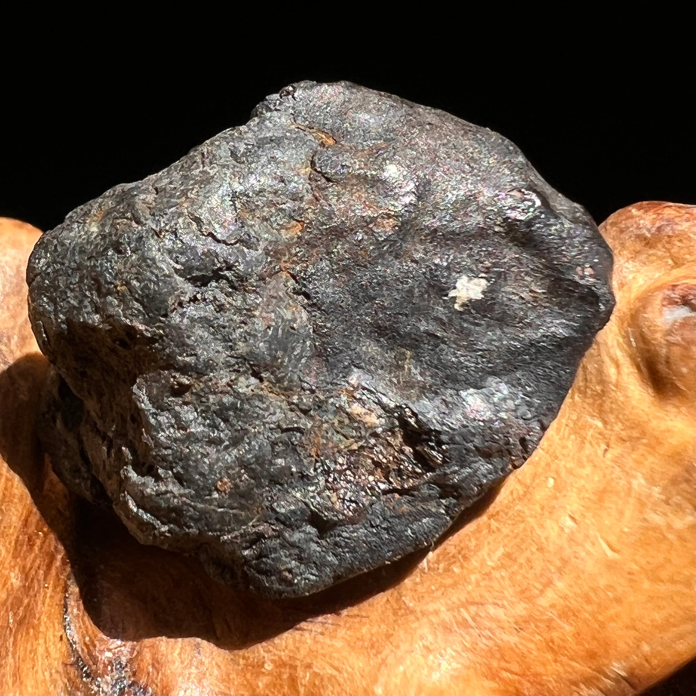 Chelyabinsk Meteorite Superbolide Asteroid 4.5 grams #15-Moldavite Life