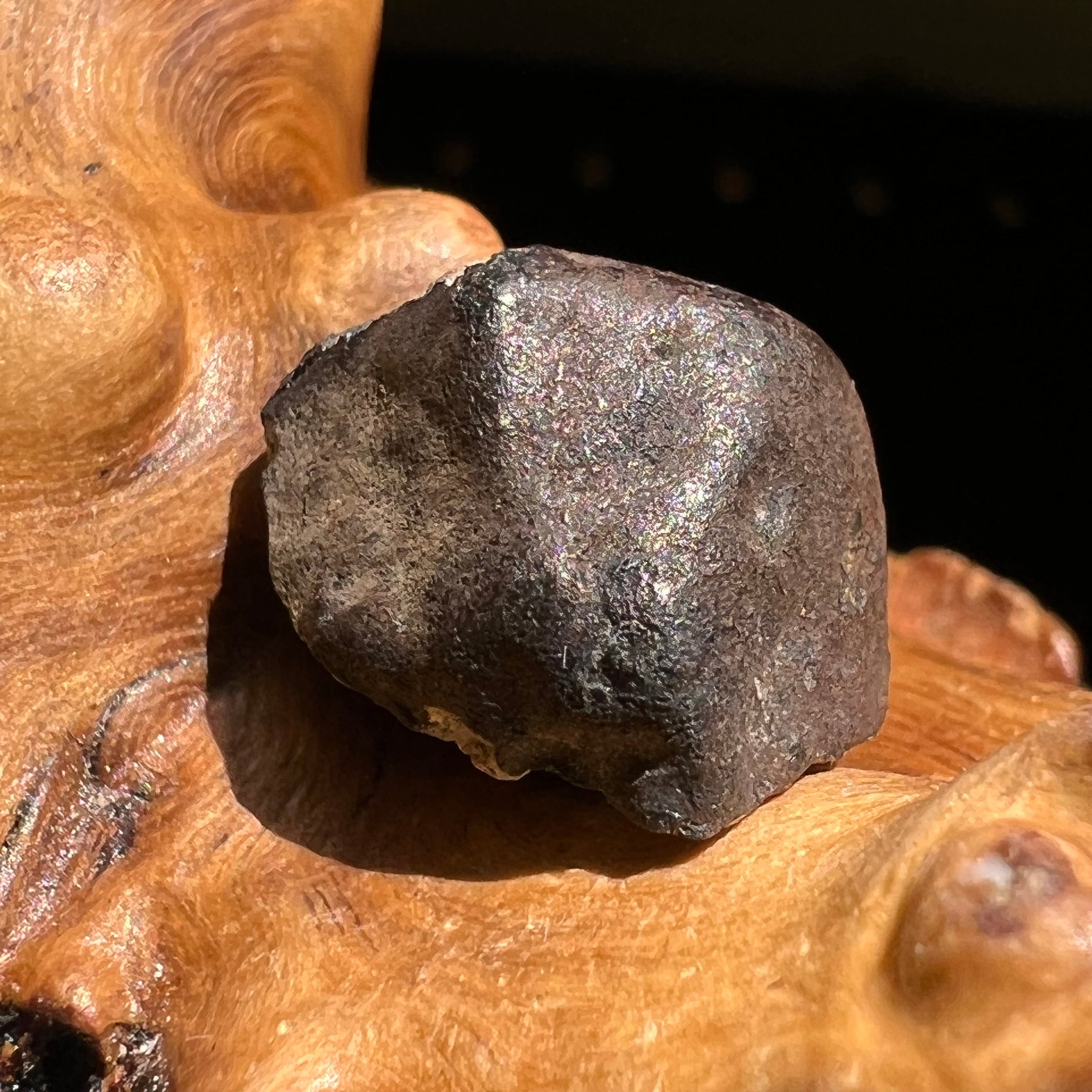 Chelyabinsk Meteorite Superbolide Asteroid 4.5 grams #8-Moldavite Life