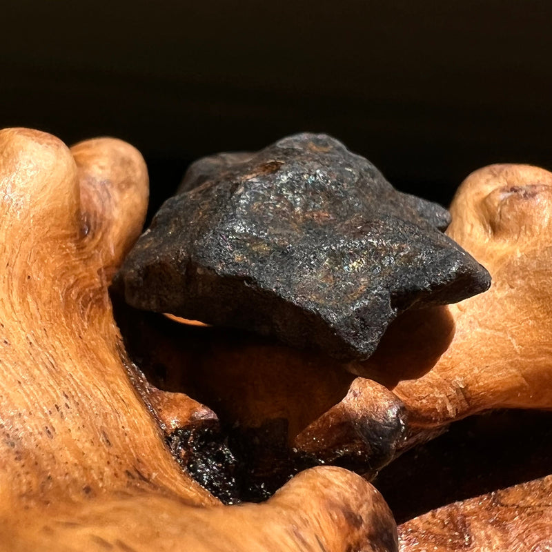 Chelyabinsk Meteorite Superbolide Asteroid 4.7 grams #3-Moldavite Life