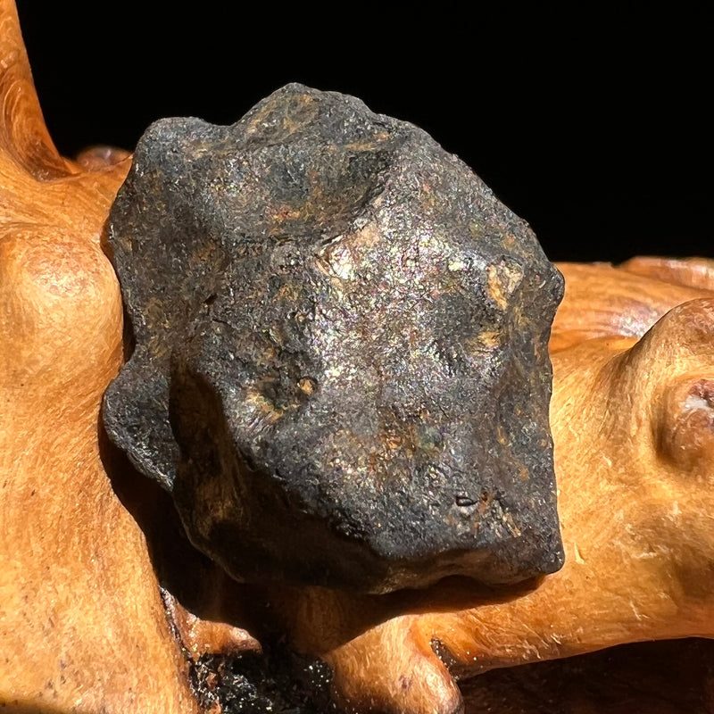 Chelyabinsk Meteorite Superbolide Asteroid 4.7 grams #3-Moldavite Life