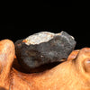Chelyabinsk Meteorite Superbolide Asteroid 5.3 grams #14-Moldavite Life