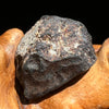 Chelyabinsk Meteorite Superbolide Asteroid 5.3 grams #16-Moldavite Life