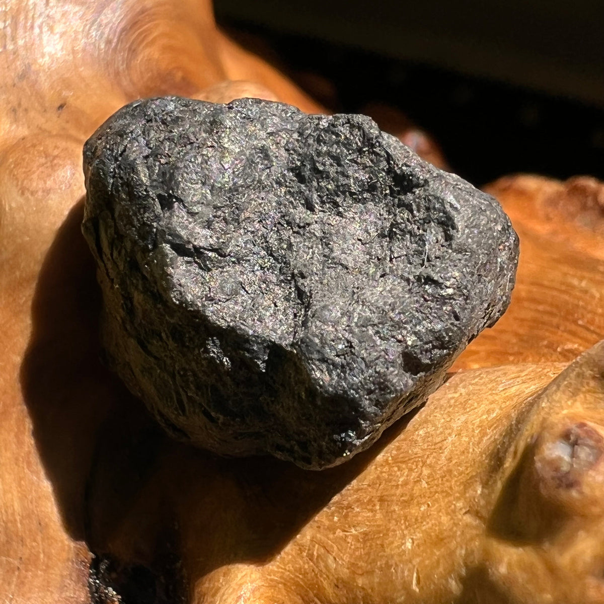 Chelyabinsk Meteorite Superbolide Asteroid 5.5 grams #10-Moldavite Life