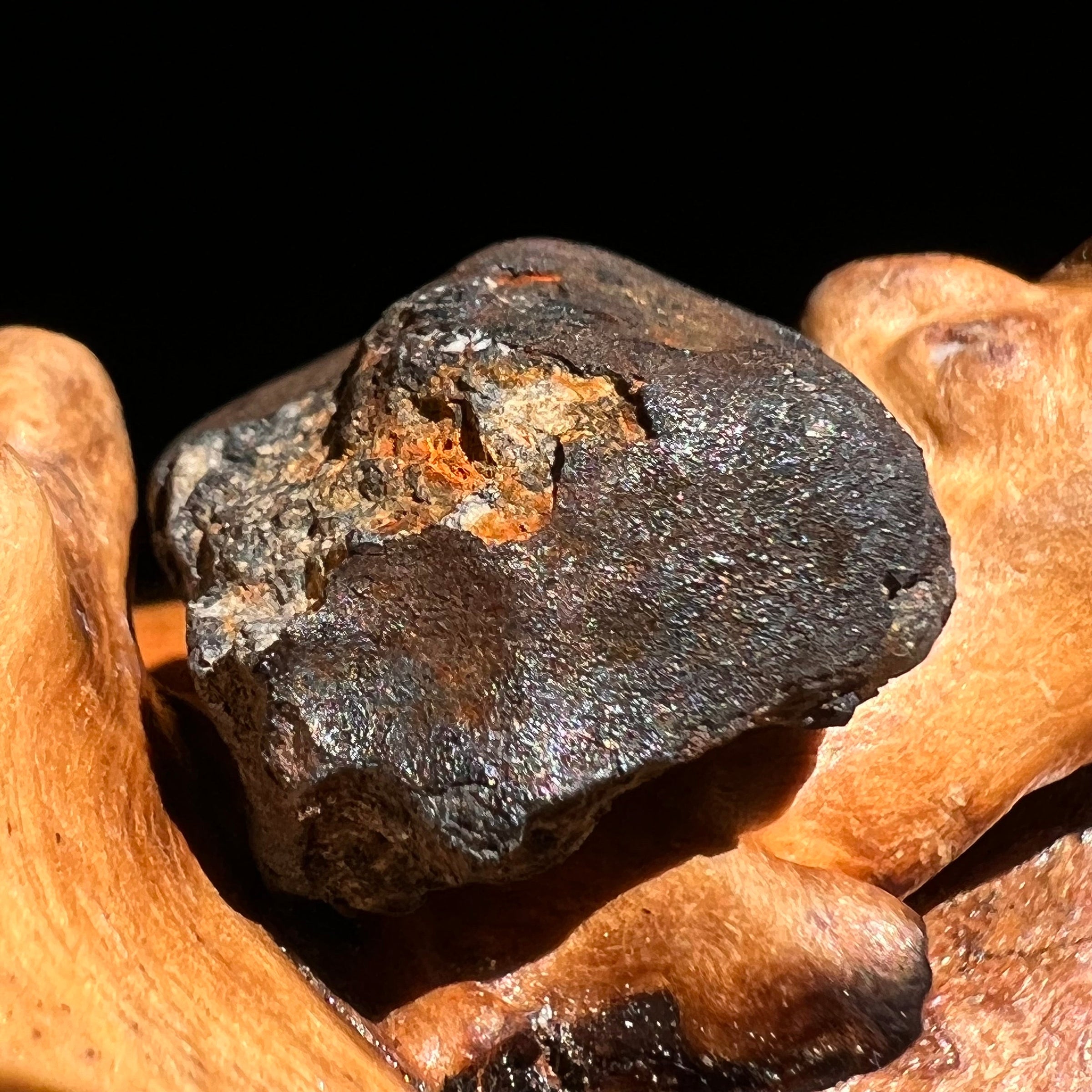 Chelyabinsk Meteorite Superbolide Asteroid 5.8 grams #4-Moldavite Life