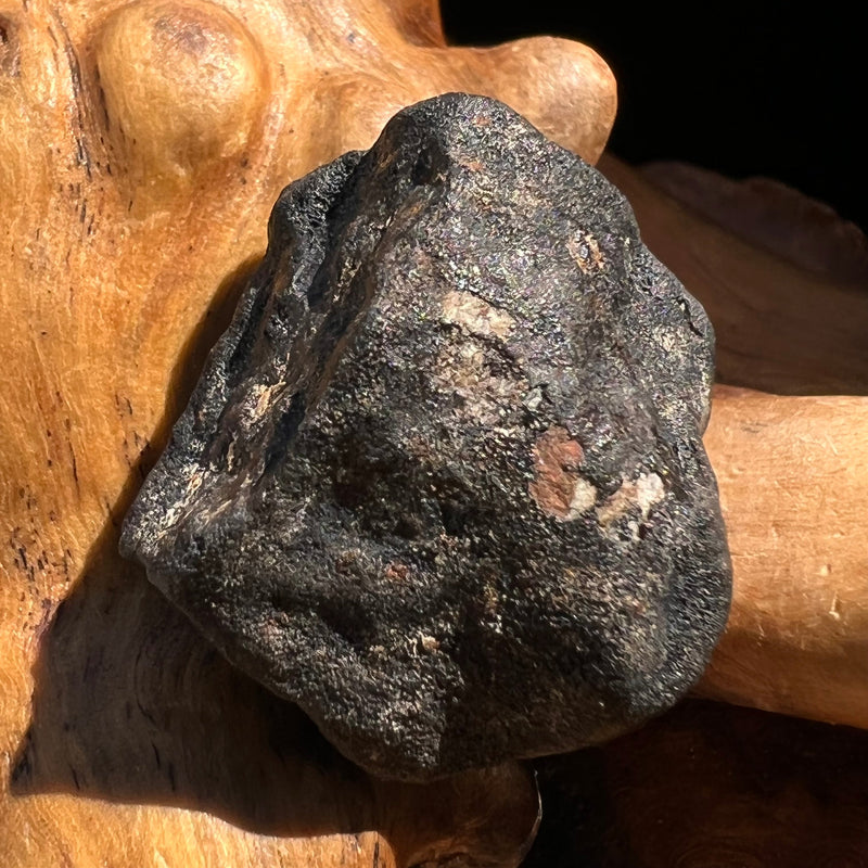 Chelyabinsk Meteorite Superbolide Asteroid 8.6 grams #92-Moldavite Life