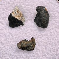 Chelyabinsk Meteorite Superbolide Asteroid :) Fragments #81-Moldavite Life