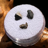 Chelyabinsk Meteorite Superbolide Asteroid :) Fragments #81-Moldavite Life