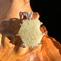 Chrysoberyl Pendant Sterling #3597-Moldavite Life