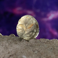 Colombianite 4 grams #2-Moldavite Life