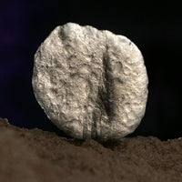 Colombianite 5.1 grams #1-Moldavite Life