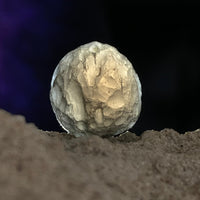 Colombianite 5.6 grams #46-Moldavite Life