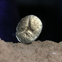 Colombianite 6.1 grams #40-Moldavite Life