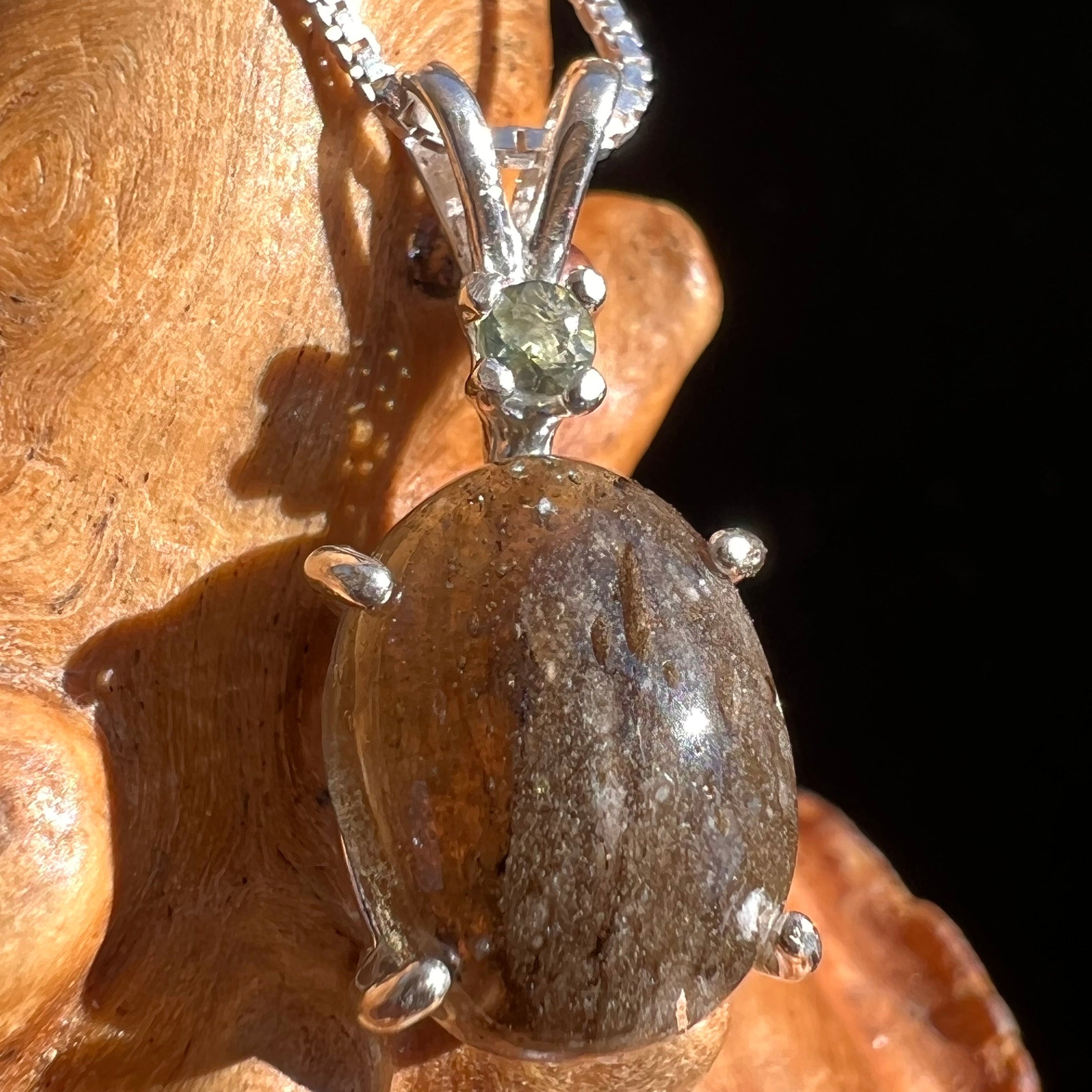 Darwinite & Moldavite Pendant Necklace Sterling #3453-Moldavite Life