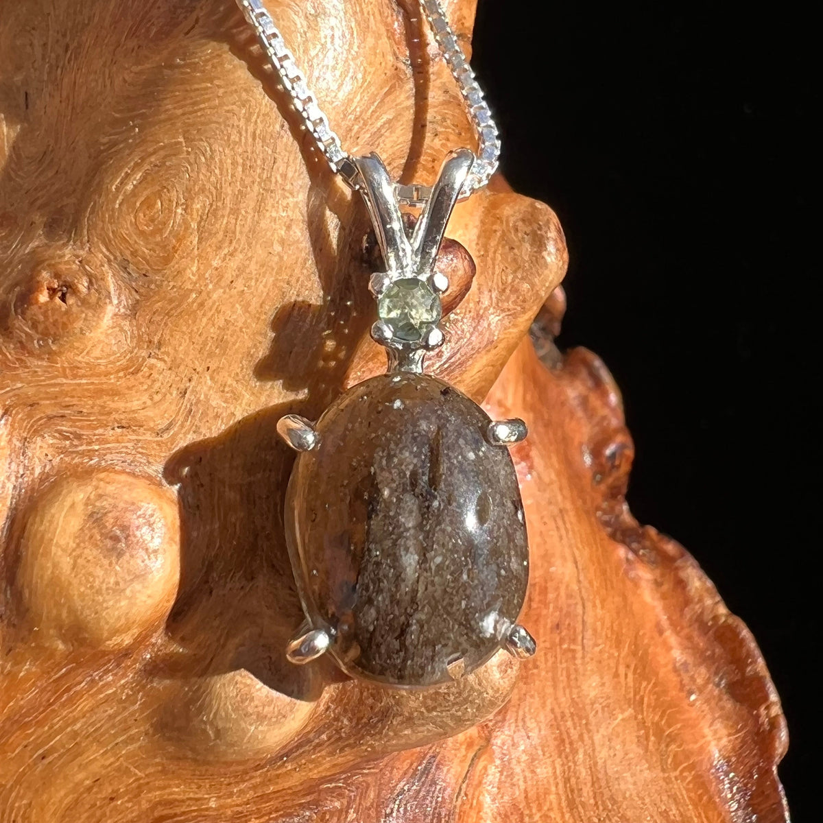 Darwinite & Moldavite Pendant Necklace Sterling #3453-Moldavite Life