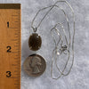 Darwinite Pendant Necklace Sterling Silver #3015-Moldavite Life
