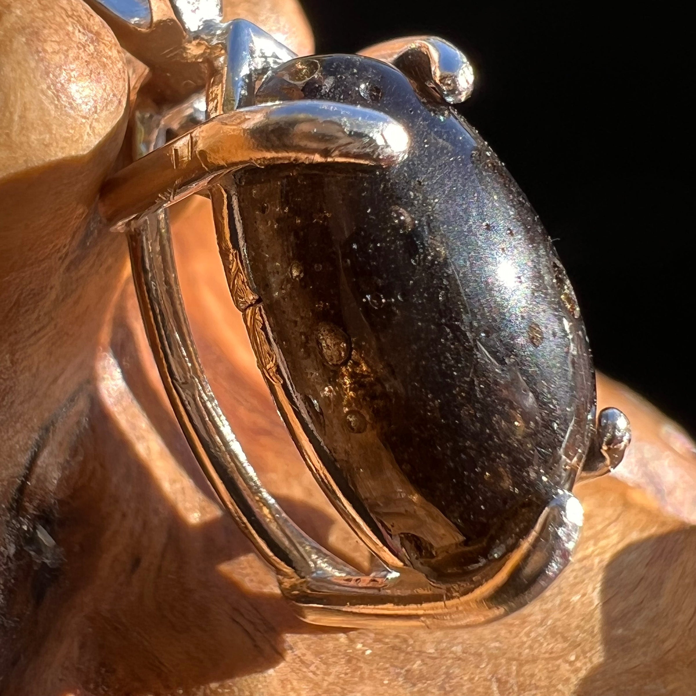 Darwinite Pendant Necklace Sterling Silver #3016-Moldavite Life