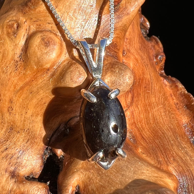 Darwinite Pendant Necklace Sterling Silver #3016-Moldavite Life