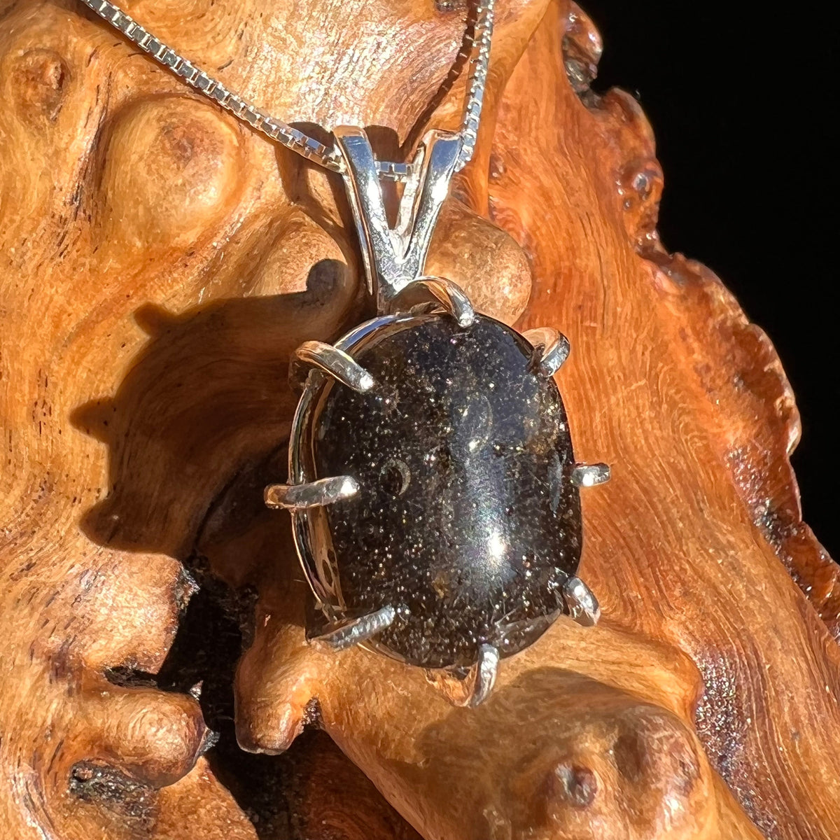 Darwinite Pendant Necklace Sterling Silver #3017-Moldavite Life