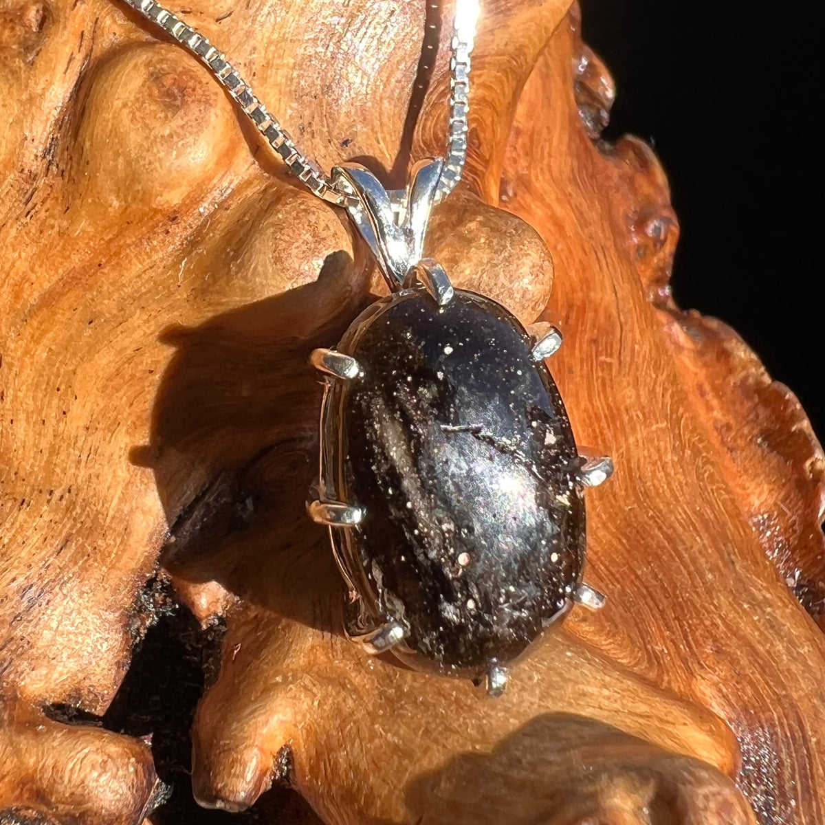 Darwinite Pendant Necklace Sterling Silver #3018-Moldavite Life