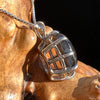 Darwinite Pendant Necklace Sterling Silver #3019-Moldavite Life