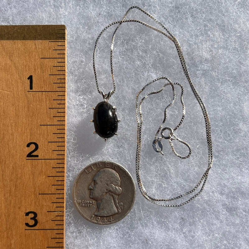 Darwinite Pendant Necklace Sterling Silver #3019-Moldavite Life