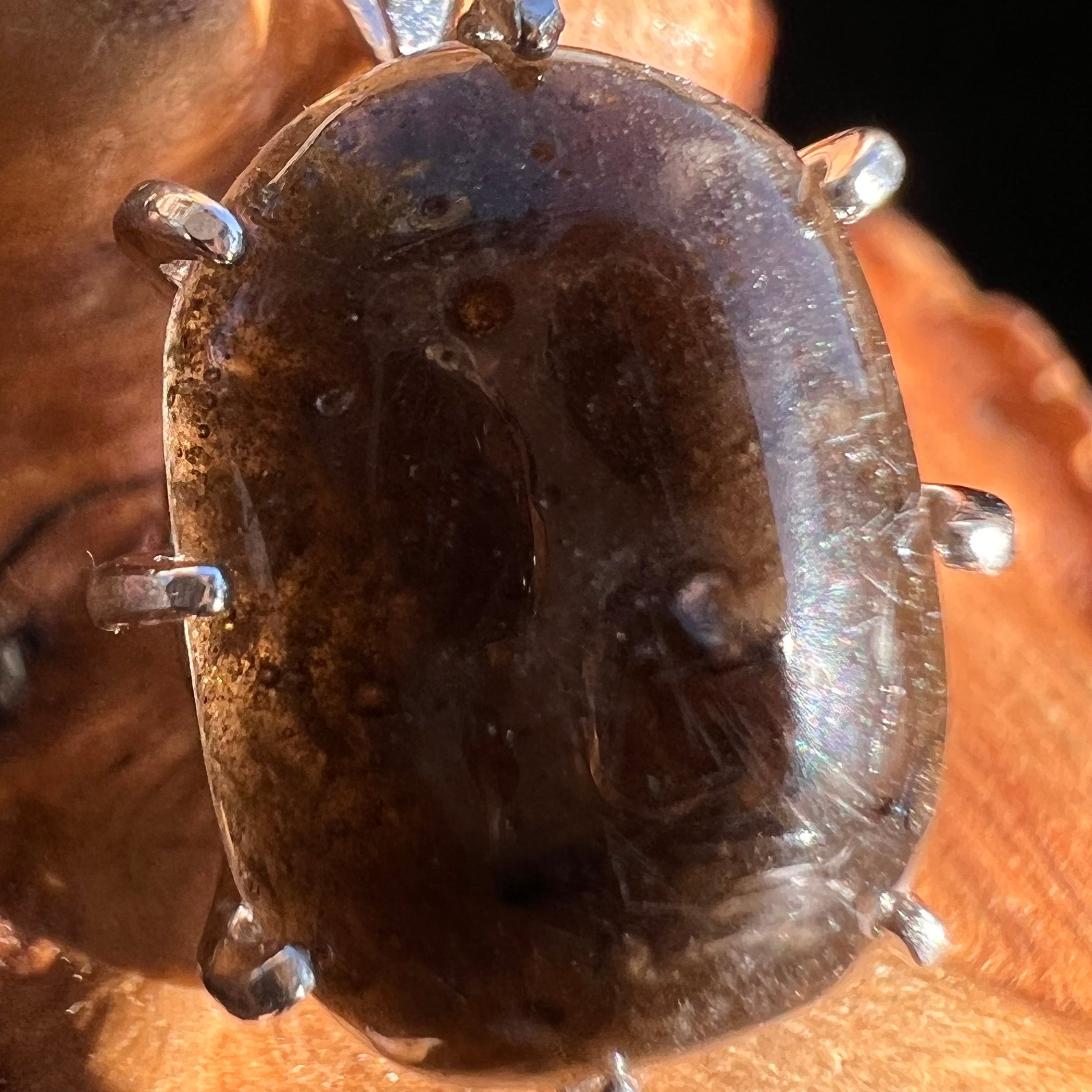 Darwinite Pendant Necklace Sterling Silver #3020-Moldavite Life