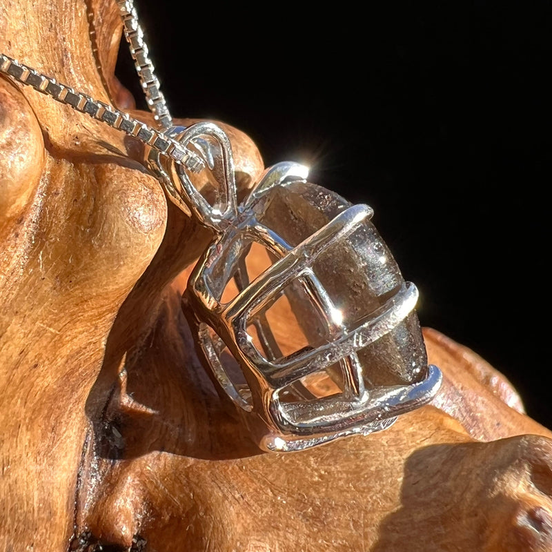 Darwinite Pendant Necklace Sterling Silver #3020-Moldavite Life