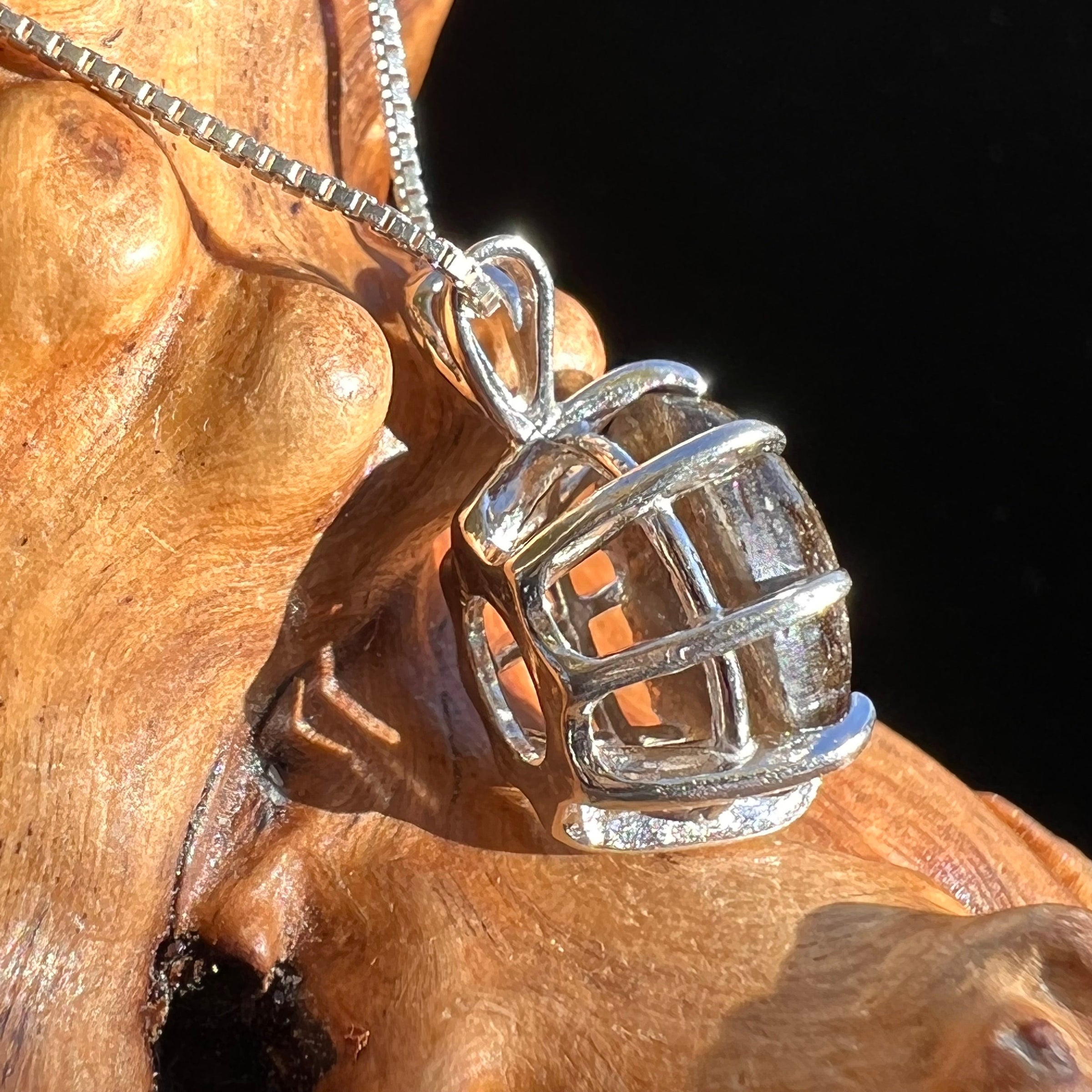 Darwinite Pendant Necklace Sterling Silver #3021-Moldavite Life