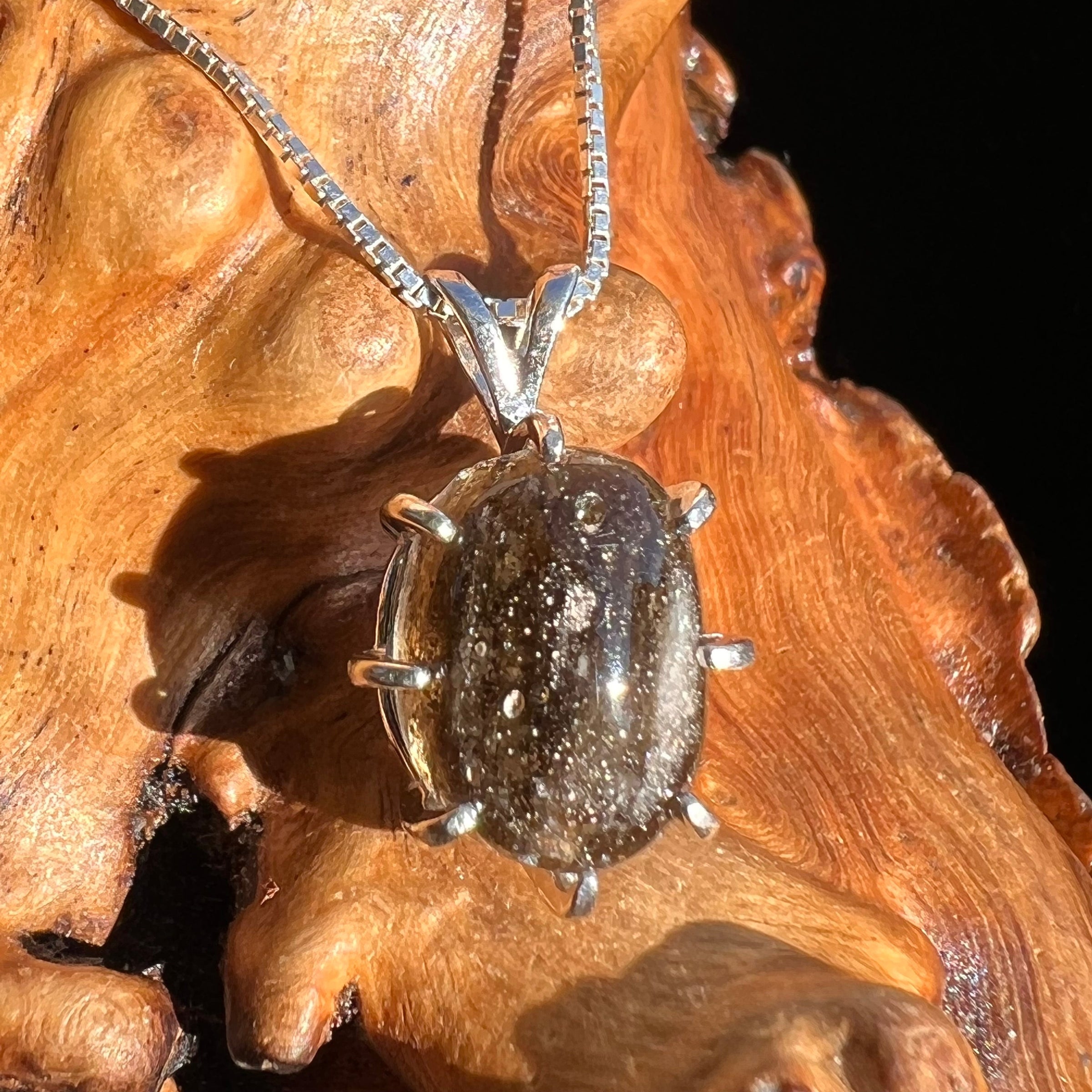 Darwinite Pendant Necklace Sterling Silver #3021-Moldavite Life