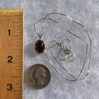 Darwinite Pendant Necklace Sterling Silver #3022-Moldavite Life