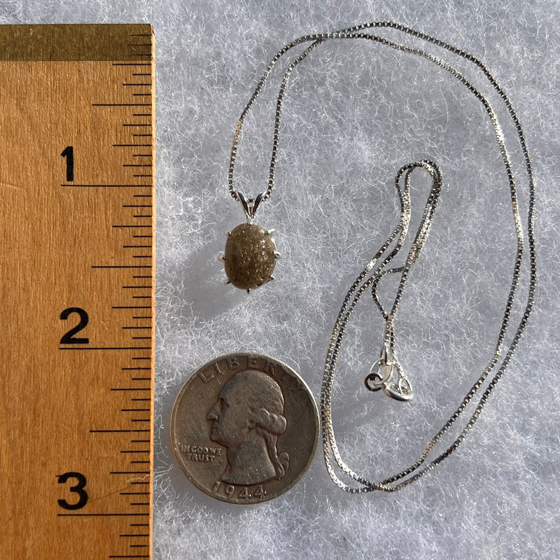 Darwinite Pendant Necklace Sterling Silver #3024-Moldavite Life
