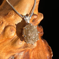 Darwinite Pendant Necklace Sterling Silver #3024-Moldavite Life