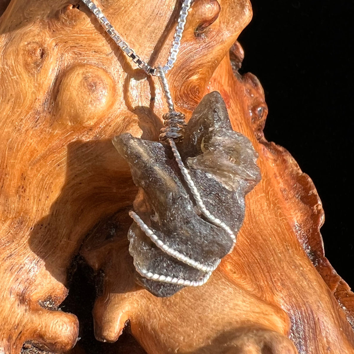Darwinite Wire Wrapped Pendant Sterling Silver #3822-Moldavite Life