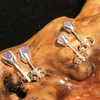 Grape Agate Post Earrings Sterling Silver