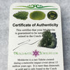 Genuine Moldavite 1.0 grams-Moldavite Life