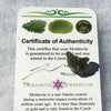 Genuine Moldavite 1.1 grams-Moldavite Life