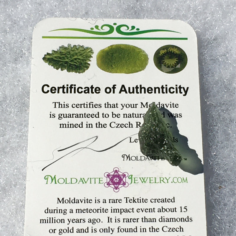 Genuine Moldavite 1.2 grams-Moldavite Life