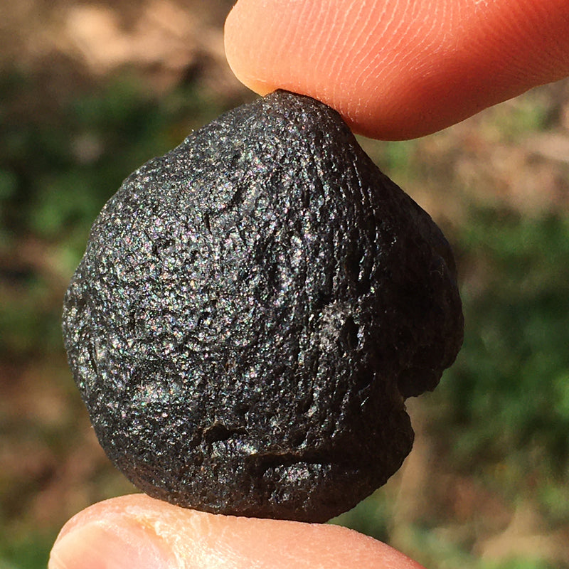 Pearl of Fire Agni Manitite Tektite 14.6 grams-Moldavite Life