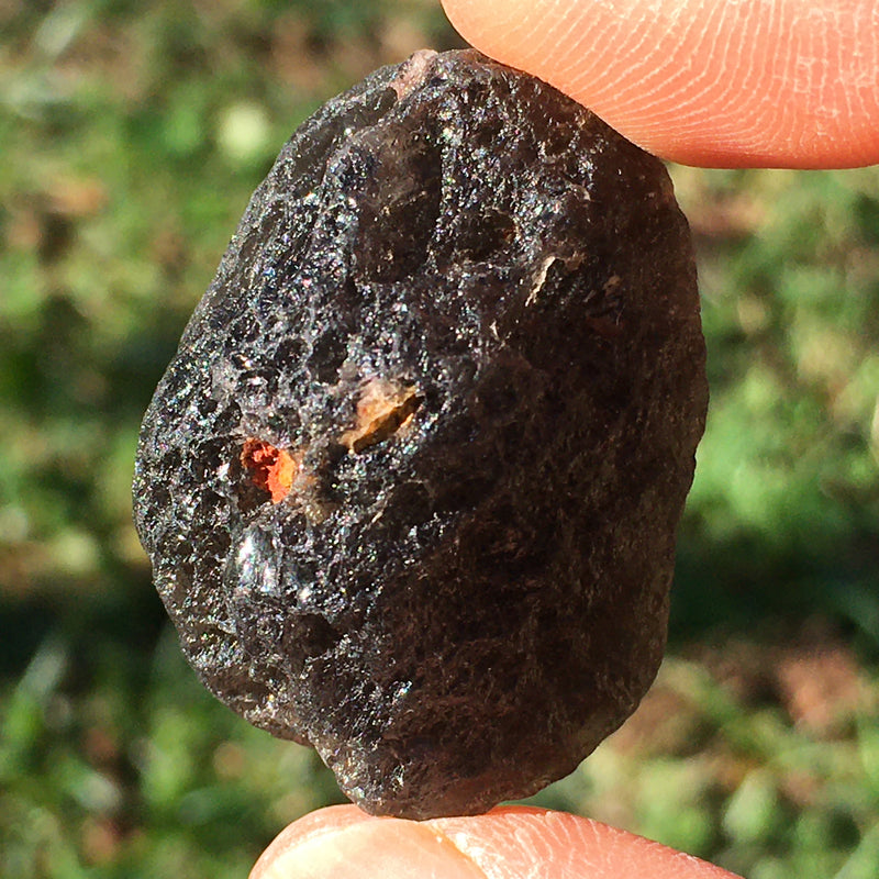 Pearl of Fire Agni Manitite Tektite 19.4 grams-Moldavite Life