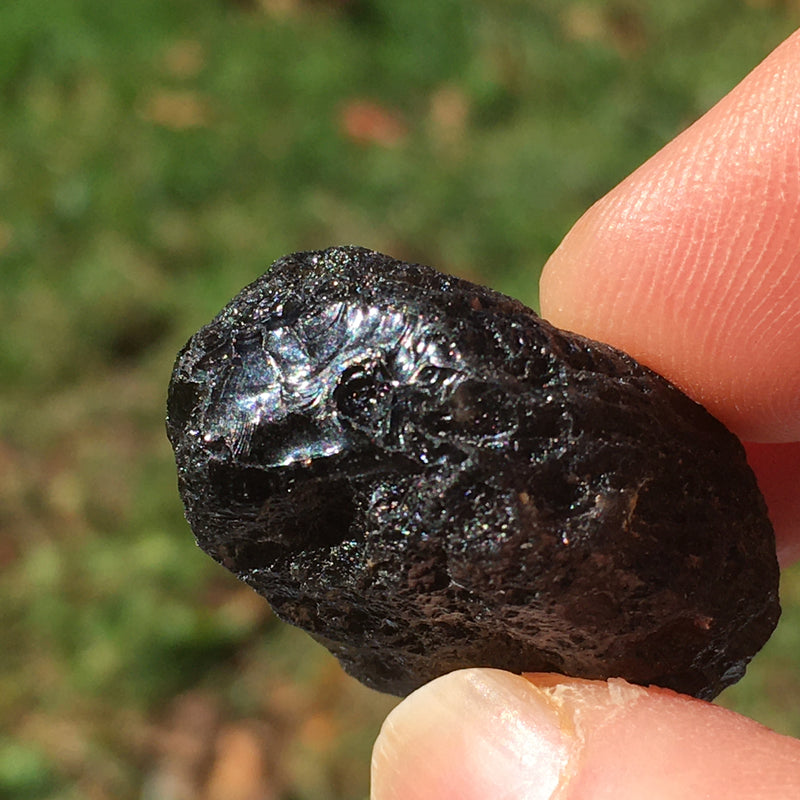 Pearl of Fire Agni Manitite Tektite 14.0 grams-Moldavite Life