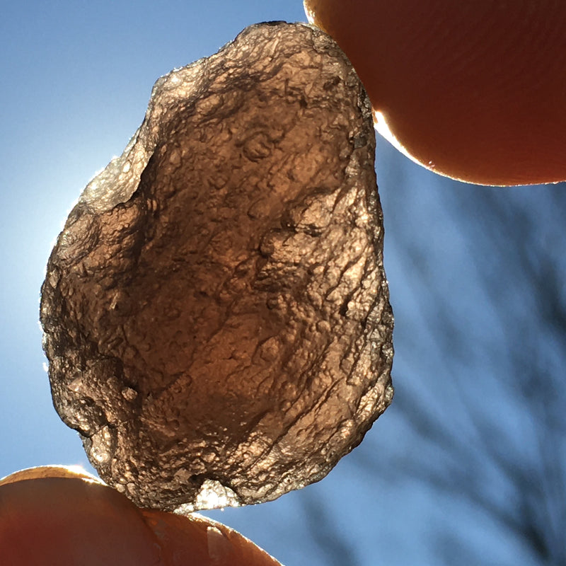 Pearl of Fire Agni Manitite Tektite 9.5 grams-Moldavite Life